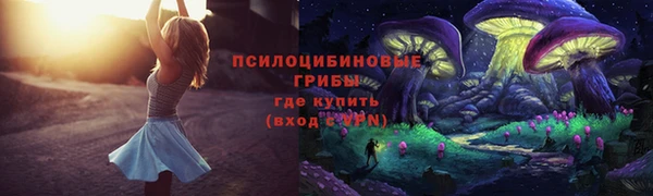 mdma Богданович