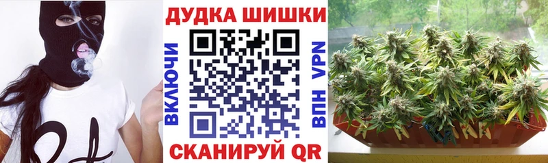 Конопля SATIVA & INDICA  Трубчевск 